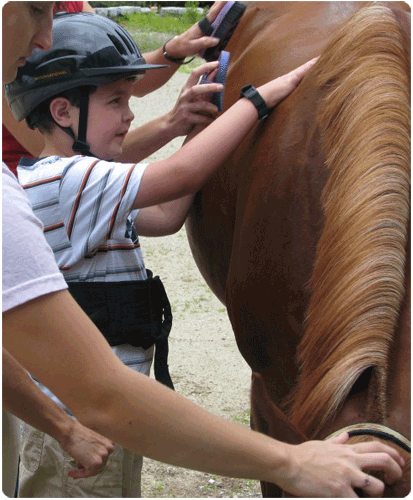 The Laura Foundation for Autism and Epilepsy